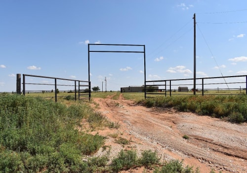 Discovering the Unique Wildlife of Lubbock, Texas