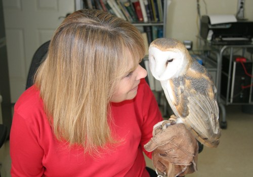 Wildlife Education Programs in Lubbock, Texas: A Comprehensive Guide